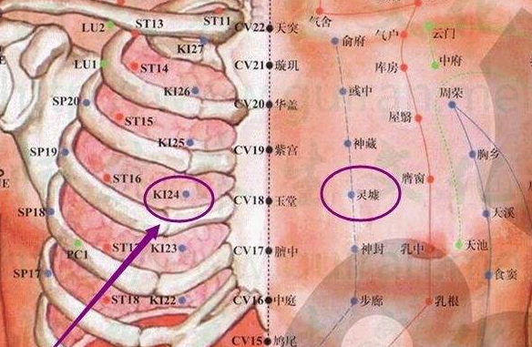 神藏穴的功效與作用