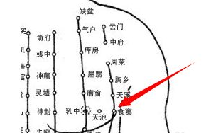 食竇穴位位置