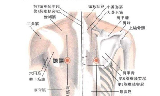 譩譆穴的圖片