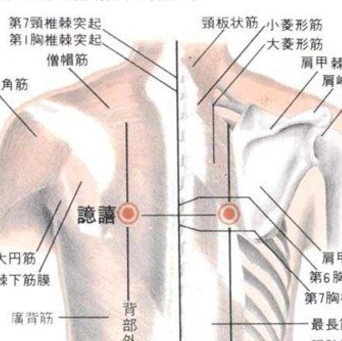 譩譆穴疼痛怎么回事？譩譆穴的準(zhǔn)確位置及其功效與作用有哪些？
