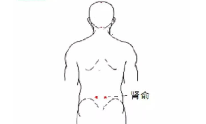 腎俞穴的圖片