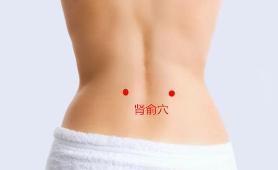 腎俞穴位置
