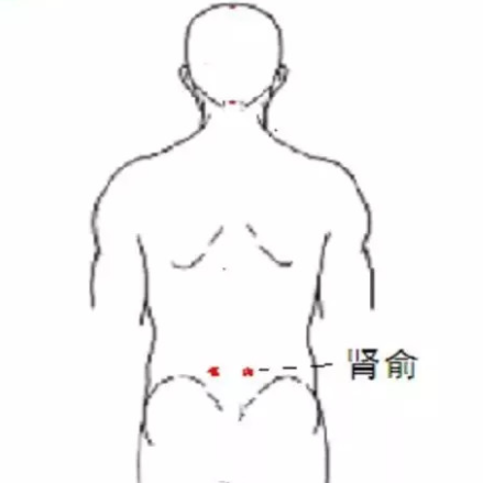 腎俞穴的準確位置在哪？中醫教你按摩腎俞穴竟能緩解緩解腰酸背痛！