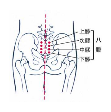 按摩八髎穴可治療婦科疾病，你知道它的準確位置及按摩的好處有哪些嗎？