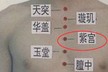 紫宮穴的準確位置