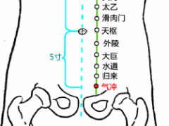 中醫按摩氣沖穴的好處及其氣沖穴的位置！