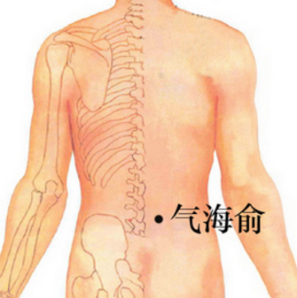 氣海俞穴的準確位置在哪？按摩氣海俞穴的功效與作用有哪些？