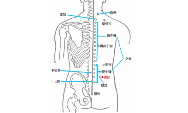 腰眼穴的圖片