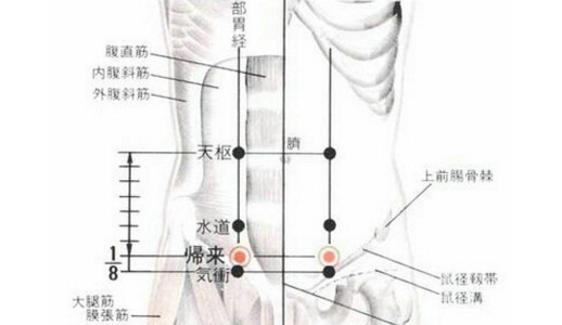 歸來穴位置