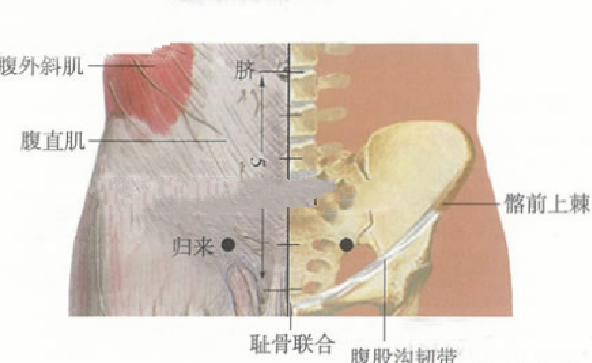 歸來穴主治疾病