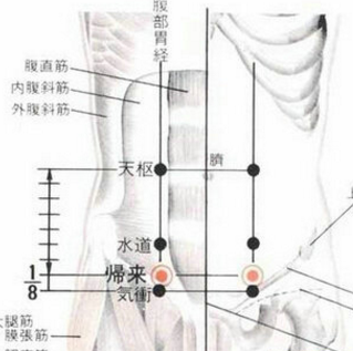 歸來穴的準確位置在哪？