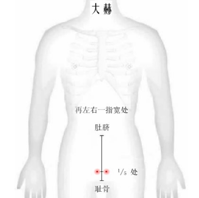 按摩大赫穴具有滋陰壯陽的功效，你知道它的準確位置在哪嗎？