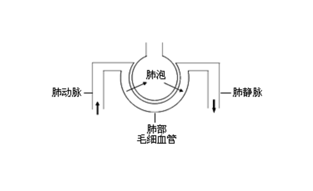 肺泡-毛細血管阻滯綜合征的癥狀
