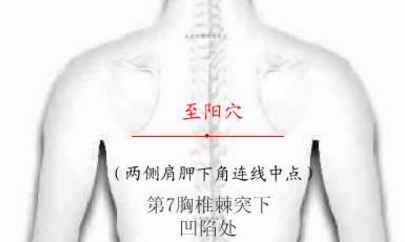 至陽穴的圖片