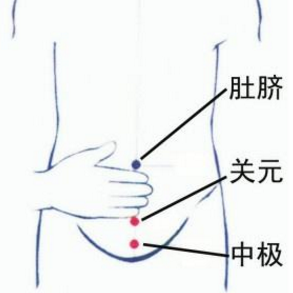 中極穴的準確位置在哪？