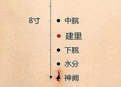 建里穴準確位置怎么找？中醫教你按摩建里穴和胃安神的方法