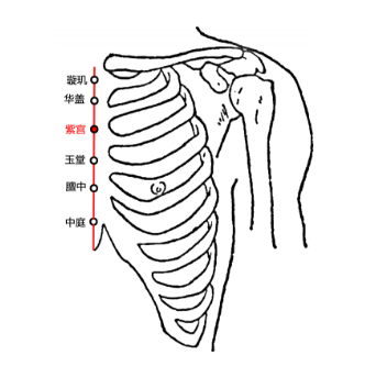 紫宮穴疼痛怎么回事？紫宮穴的準確位置及其功效與作用解析！