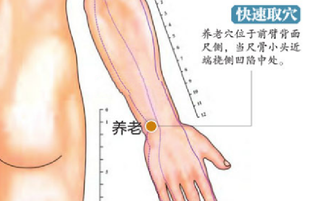 養老穴的功效與作用