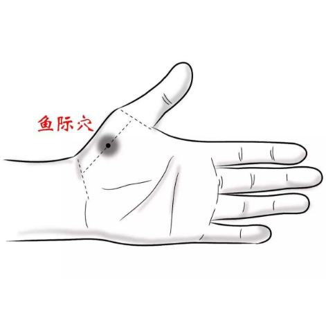 魚(yú)際穴的準(zhǔn)確位置在哪？中醫(yī)教你正確按摩魚(yú)際穴能快速止咳！
