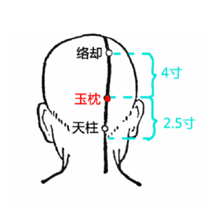 玉枕穴疼痛是什么原因？中醫教你正確定位玉枕穴的準確位置！