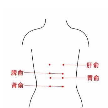 中醫(yī)教你正確定位胃俞穴的準(zhǔn)確位置及其功效與按摩方法！