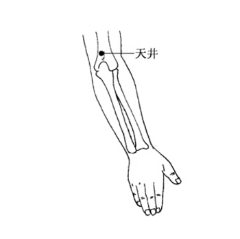 中醫教你按摩天井穴可治療麥粒腫，你知道它的準確位置在哪嗎？
