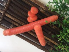 學(xué)會中藥的6種配伍關(guān)系，你也是半個中醫(yī)！
